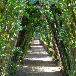 DSC02496GiardinoDiBoboli [640x480]