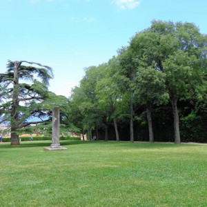 DSC02502GiardinoDiBoboli [640x480]
