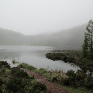 IMG_2115.JPG