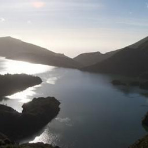 SR207705.JPG