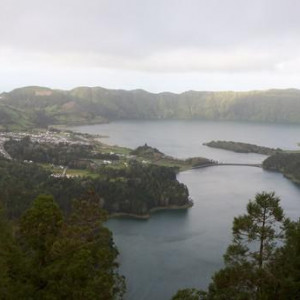 SR357846.JPG