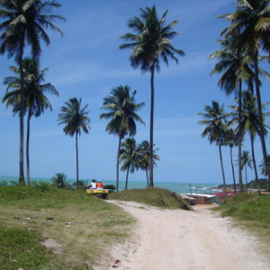 Passeios de Buggy