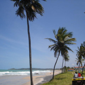 Passeios de Buggy
