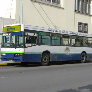 IMG 1885