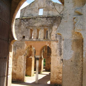 IMG_2128.JPG