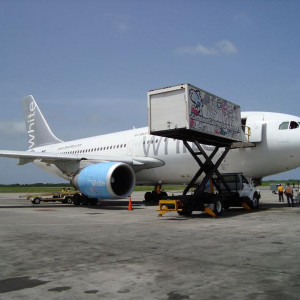 Avião "White"