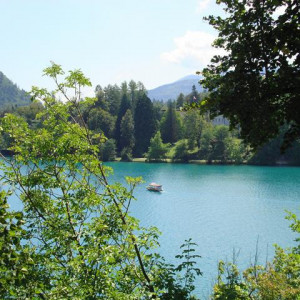 DSC04465 Bled   Eslovénia 20