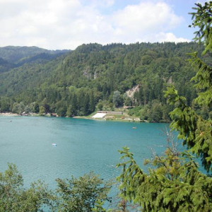 DSC04475 Bled   Eslovénia 29