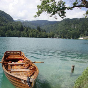 DSC04484 Bled   Eslovénia 38