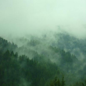 DSC04861 Austria