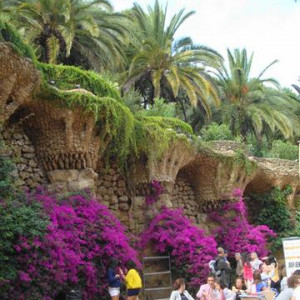 DSC03119Parc Güell (Copiar)
