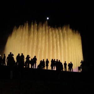 DSC03287 (Copiar).JPG