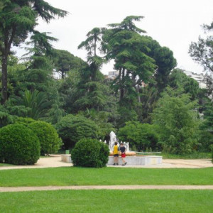 DSC03331  Palau Pedralbes.JPG