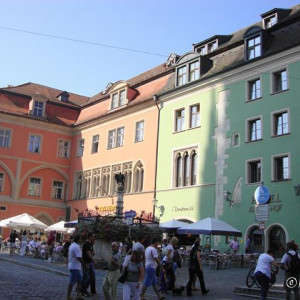 DSC02446