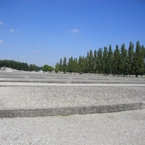 DSC02458
