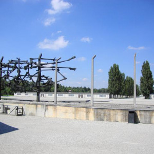 DSC02467