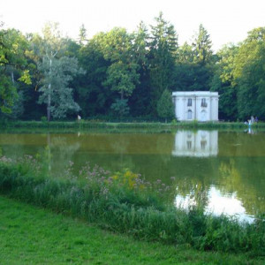 DSC02515