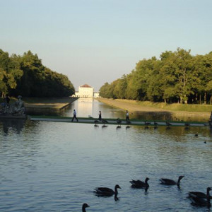DSC02525