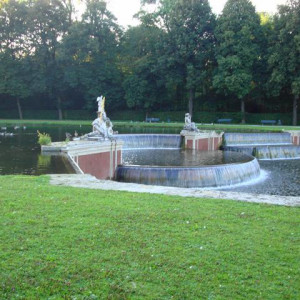 DSC02528