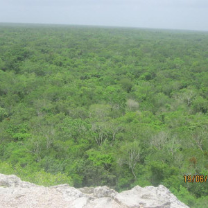Coba Vista