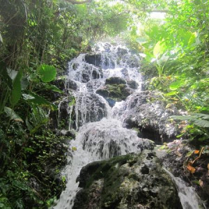 Xcaret Cascata