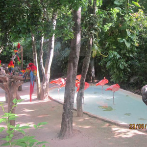 Xcaret