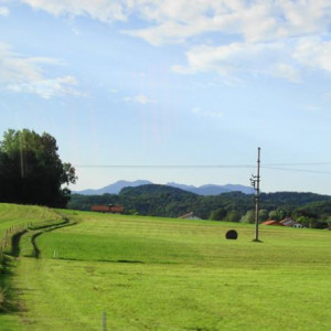 DSC02552