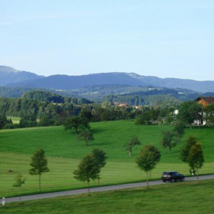 DSC02554.JPG