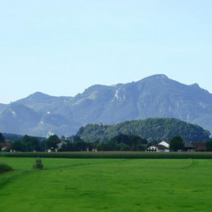 DSC02568.JPG