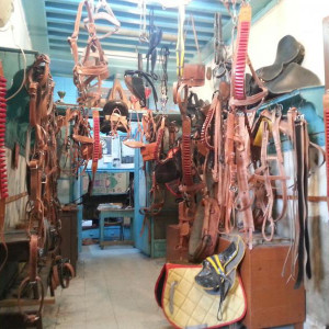 Medina de Tunes