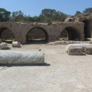 Ruinas de Cartago 2