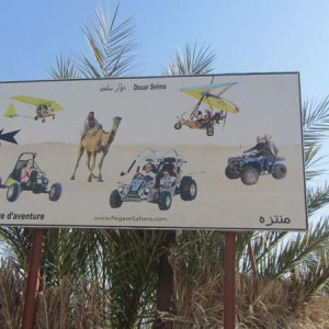 Actividades no Deserto