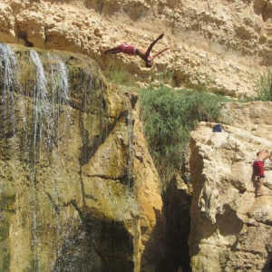 Tamerza 1