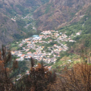 IMG 9077