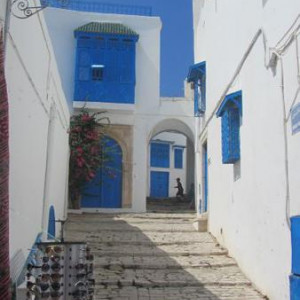 Povo Azul e Branco 5