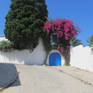 Povo Azul e Branco 6
