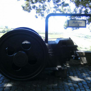 DSC (380)