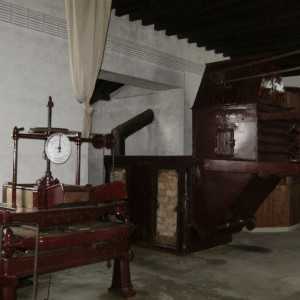 DSC (384)