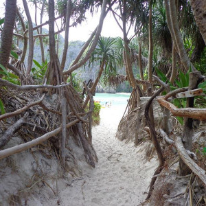 Entrada da praia de Maya Bay