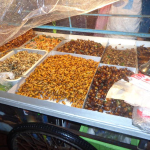 Bicharada para comer :)