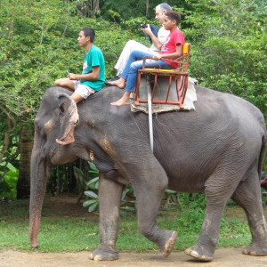 Tour Elefante Trecking