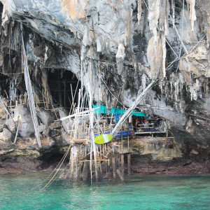 Vicking Cave - Phi Phi