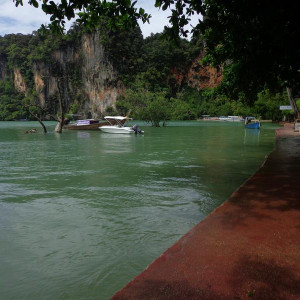 DSC01245