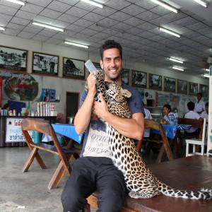 Eu a interagir com um gatinho