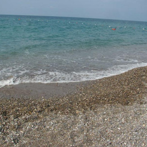 IMG 3734