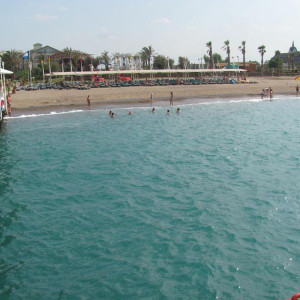 IMG 3739