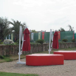 IMG 3750