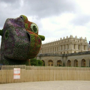 dChâteau Versailles 6