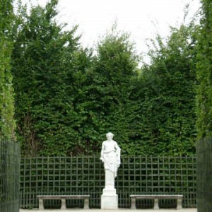 dChâteau Versailles   Bosque Da Girandola