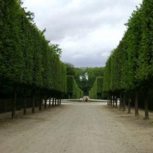 dChâteau Versailles - Jardins.JPG